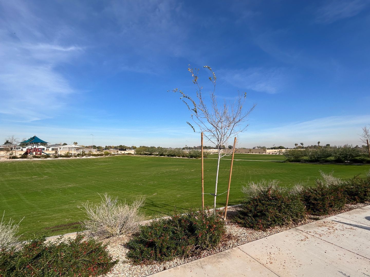 BRAND NEW never lived in 4 bedroom / 2 bathroom home ready for immediate move-in property image