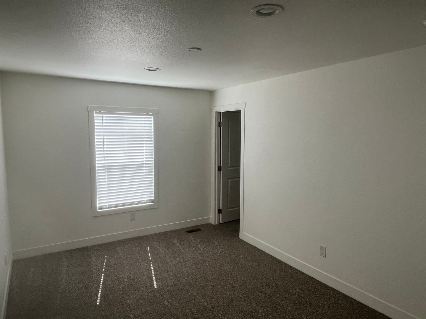 Brand New 3 Bedroom Home on ½ Acre in Wittmann property image