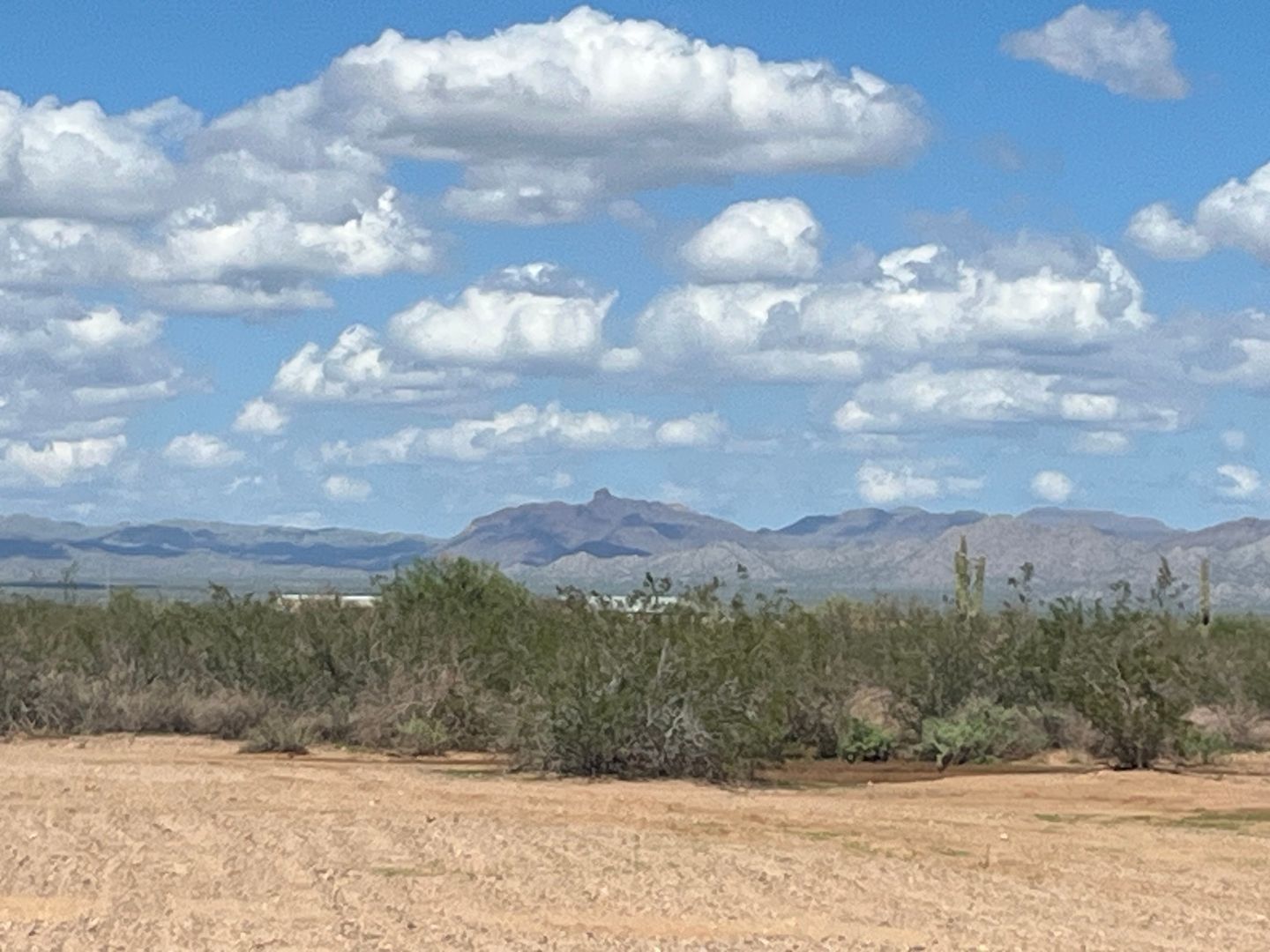 Brand New 3 Bedroom Home on ½ Acre in Wittmann property image