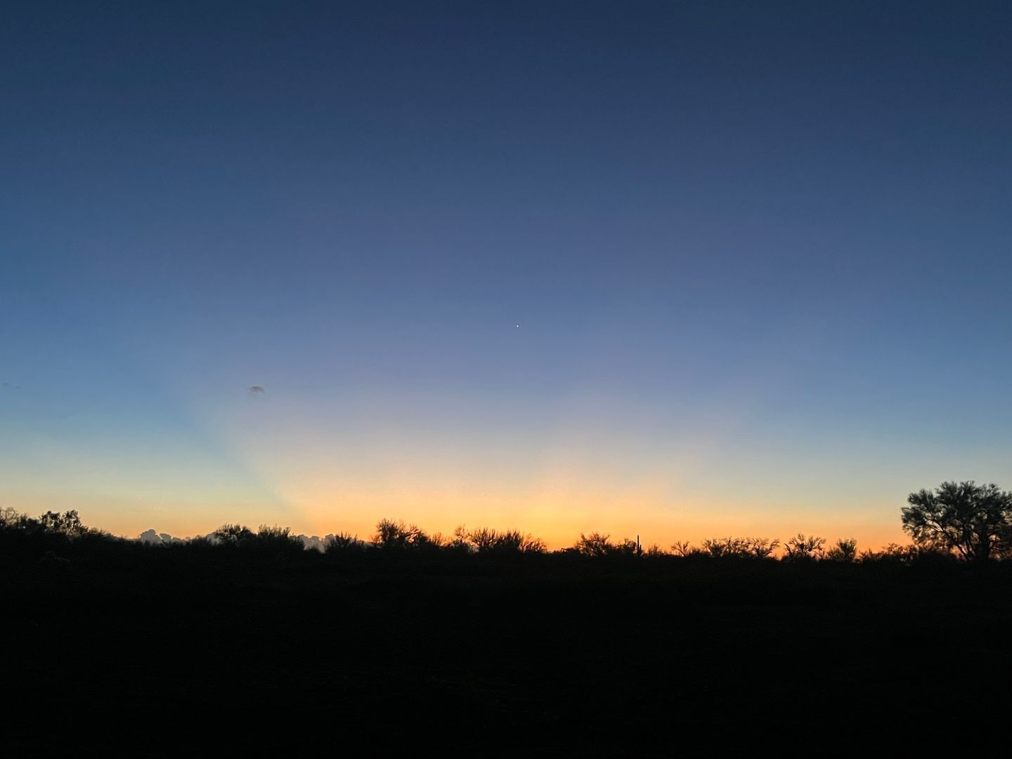 Brand New 3 Bedroom Home on ½ Acre in Wittmann property image