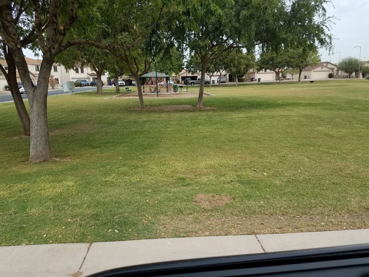 3 bedroom 2 bath home with a den in Arizona Brisas is available for a February Move in! property image