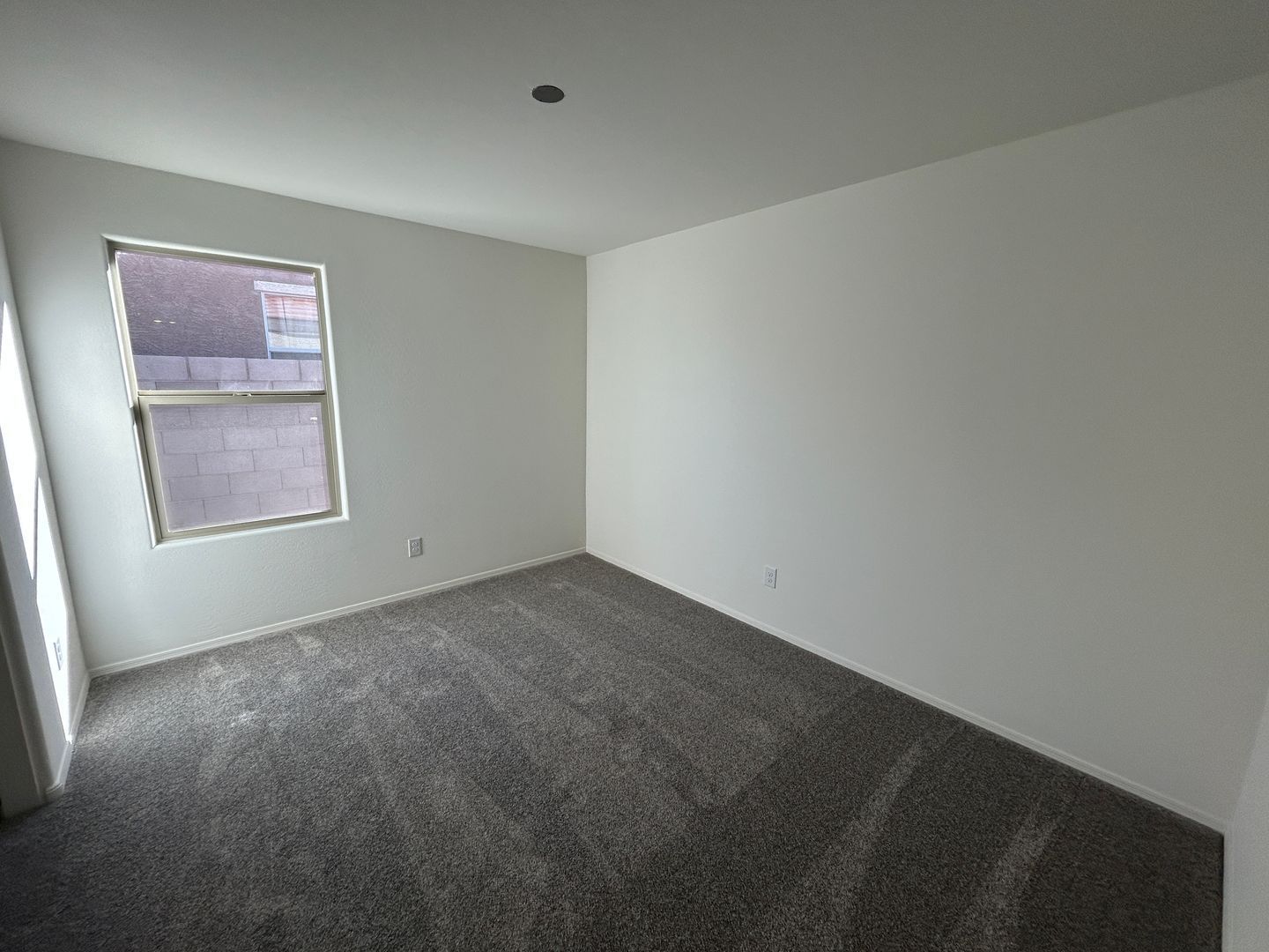 Brand New never lived in 3 bedroom / 2 bathroom home in Buckeye ready for immediate move-in property image