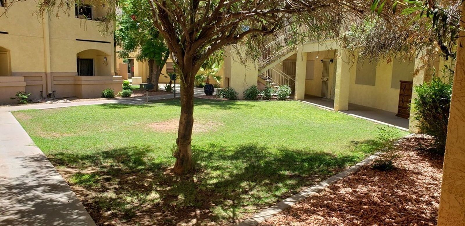 1 bedroom 1 bath condo on the ground level in Springs Condominium is available for immediate move in! property image