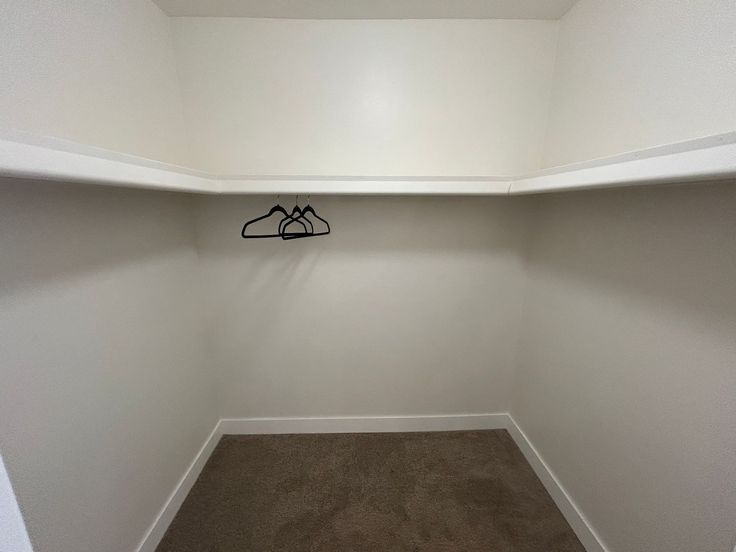 REMODELED HIDDEN GEM in north Phoenix ready for immediate move-in property image