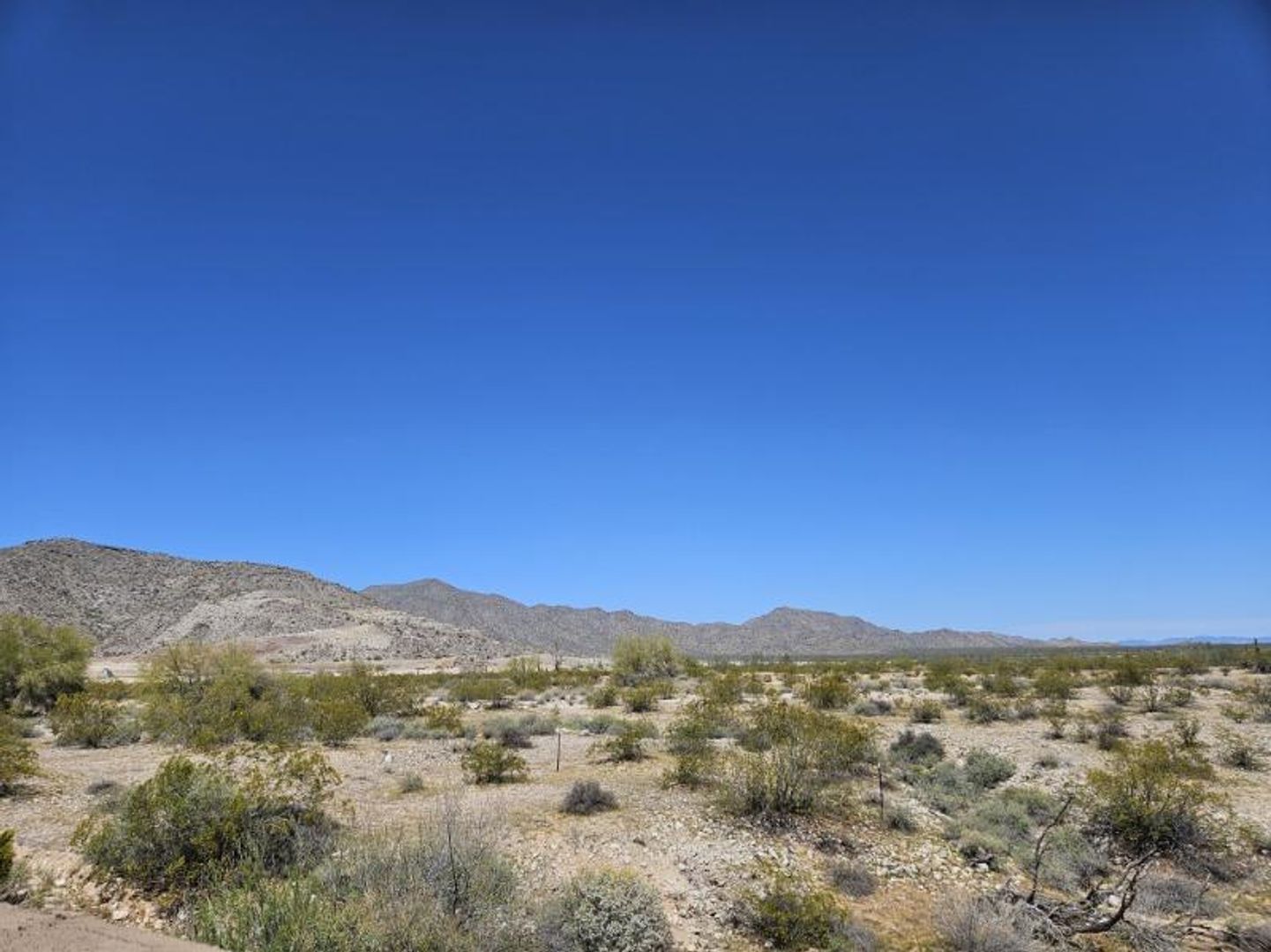 INCREDIBLE BRAND NEW HOME THAT BACKS THE PRESERVE -  3 bedroom / 2 bathrooms !! property image