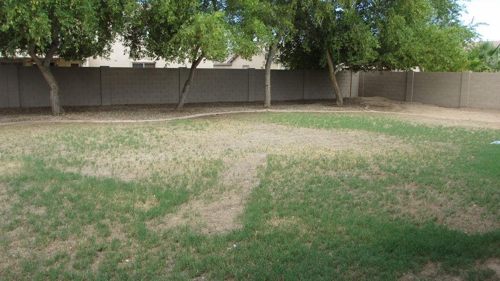 5 bedroom 3.5 bath home in Copper Canyon is available for mid September Move In. property image