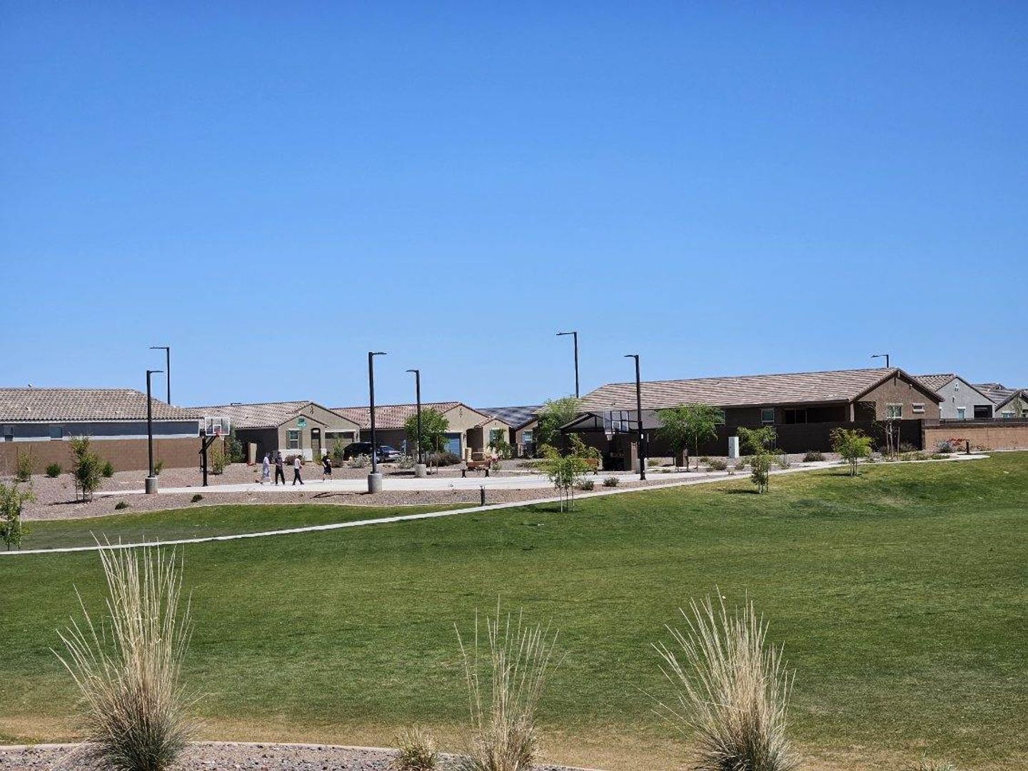 Stunning Verrado Home with mountain views! property image